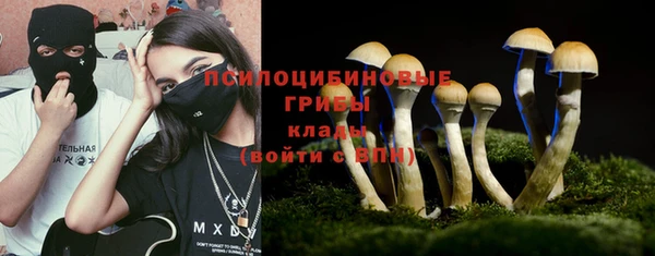 spice Балабаново