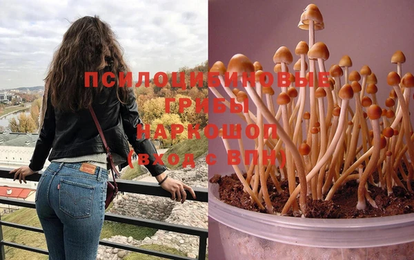 spice Балабаново